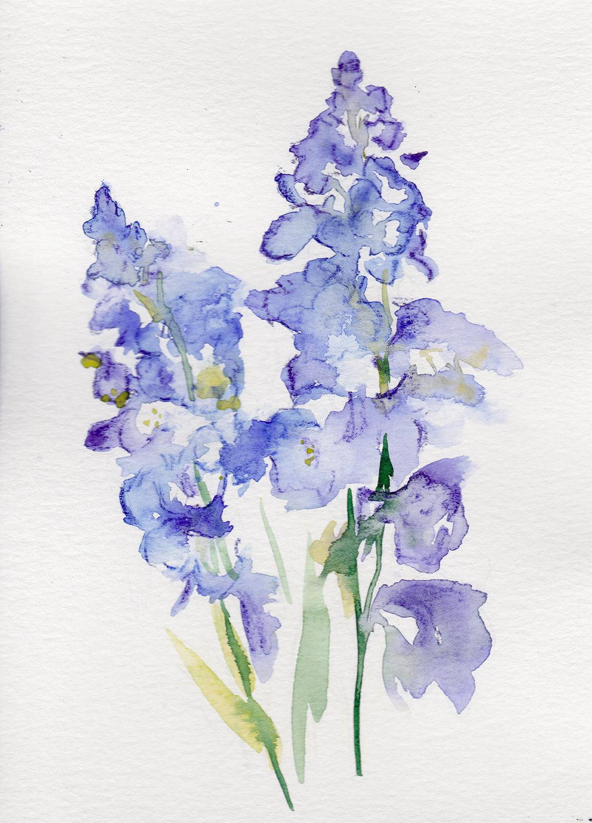 Larkspur โ July Birth Flower Art Print