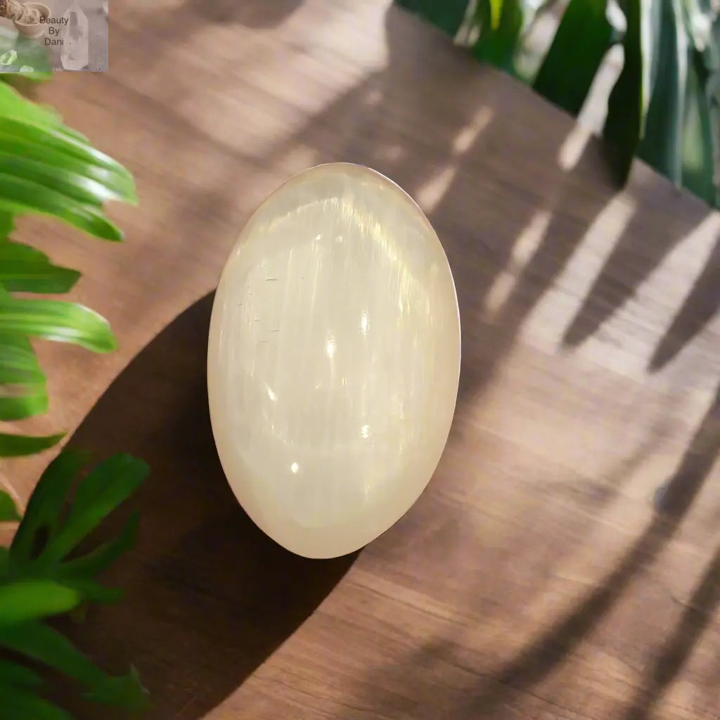 Medium Selenite Palm Stone - Natural Energy Cleansing