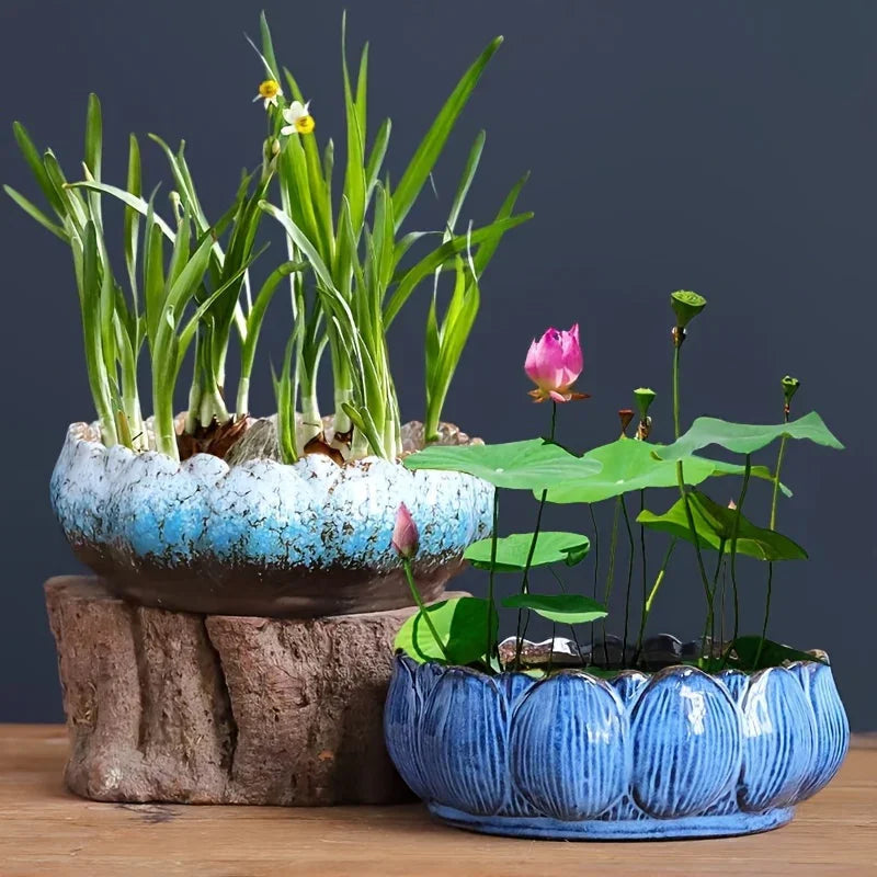 1pc Casual Style Ceramic Flower Pot, Round Tabletop Hydroponic Planter, for Bulbs, Succulents, and Lotus, Indoor and Outdoor Decorative Pot with No Drainage Hole