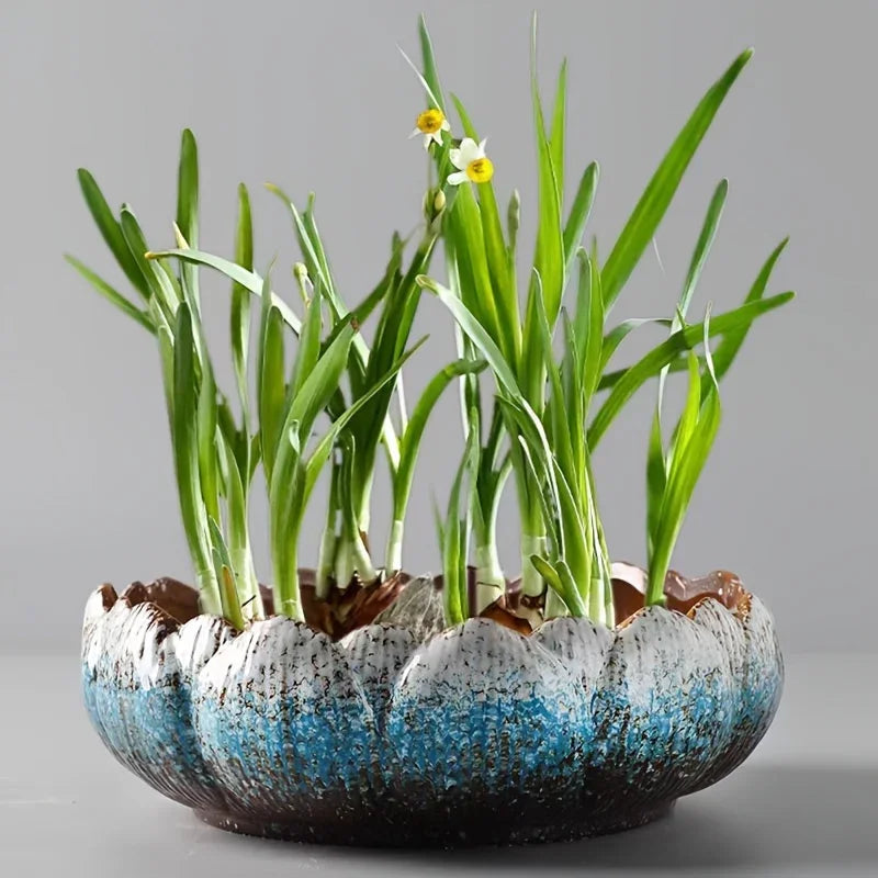 1pc Casual Style Ceramic Flower Pot, Round Tabletop Hydroponic Planter, for Bulbs, Succulents, and Lotus, Indoor and Outdoor Decorative Pot with No Drainage Hole
