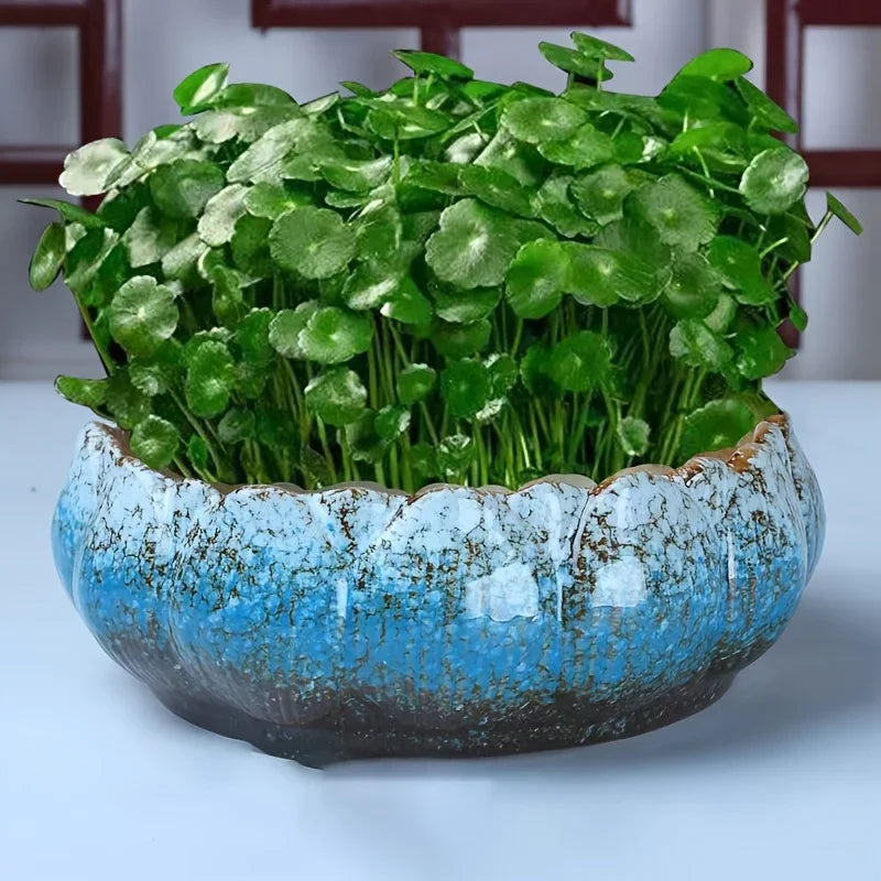 1pc Casual Style Ceramic Flower Pot, Round Tabletop Hydroponic Planter, for Bulbs, Succulents, and Lotus, Indoor and Outdoor Decorative Pot with No Drainage Hole