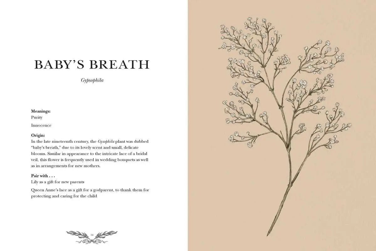 Floriography by Jessica  Roux