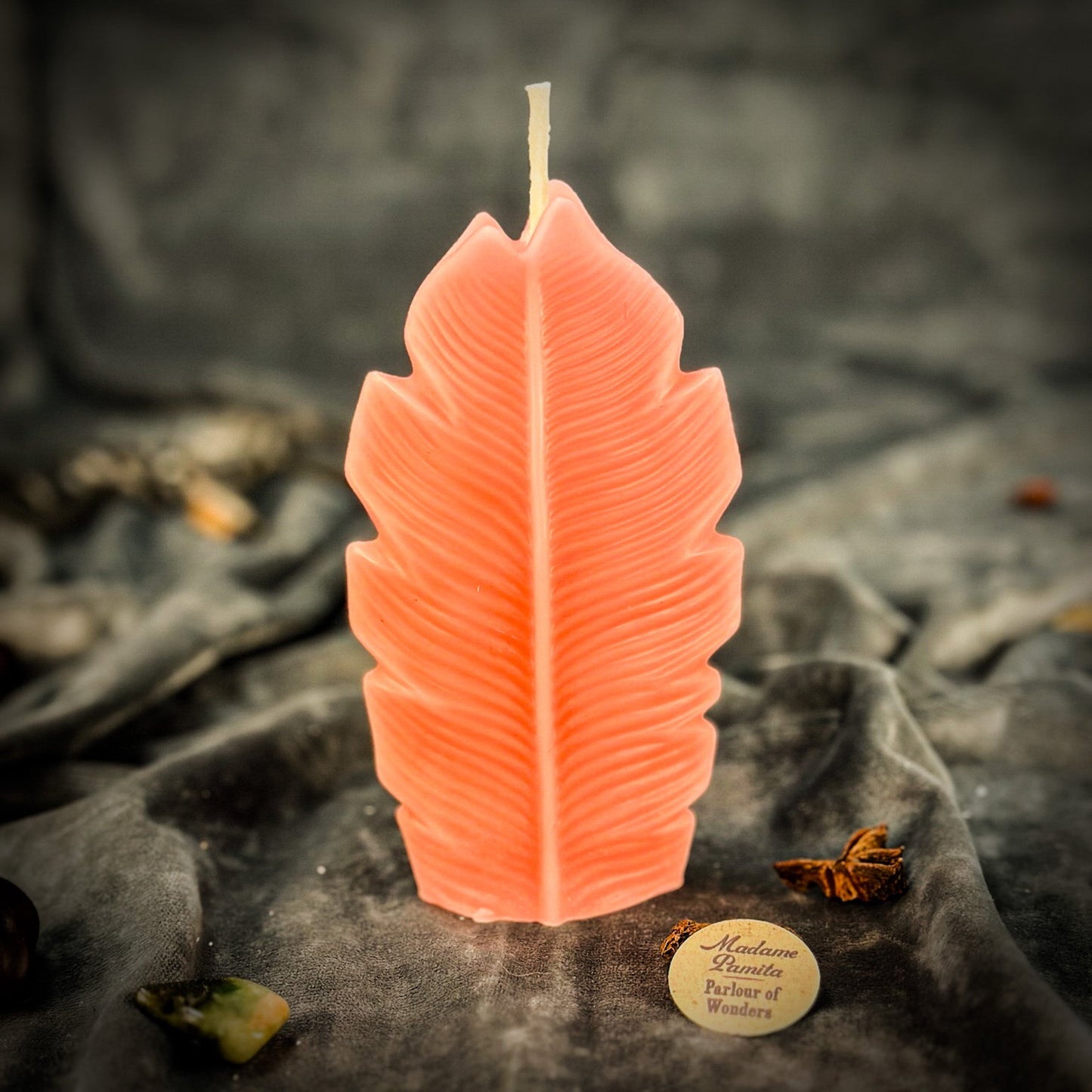 Plant Spirit Candle Spell Kit - Garden Blessing & Nature Magic