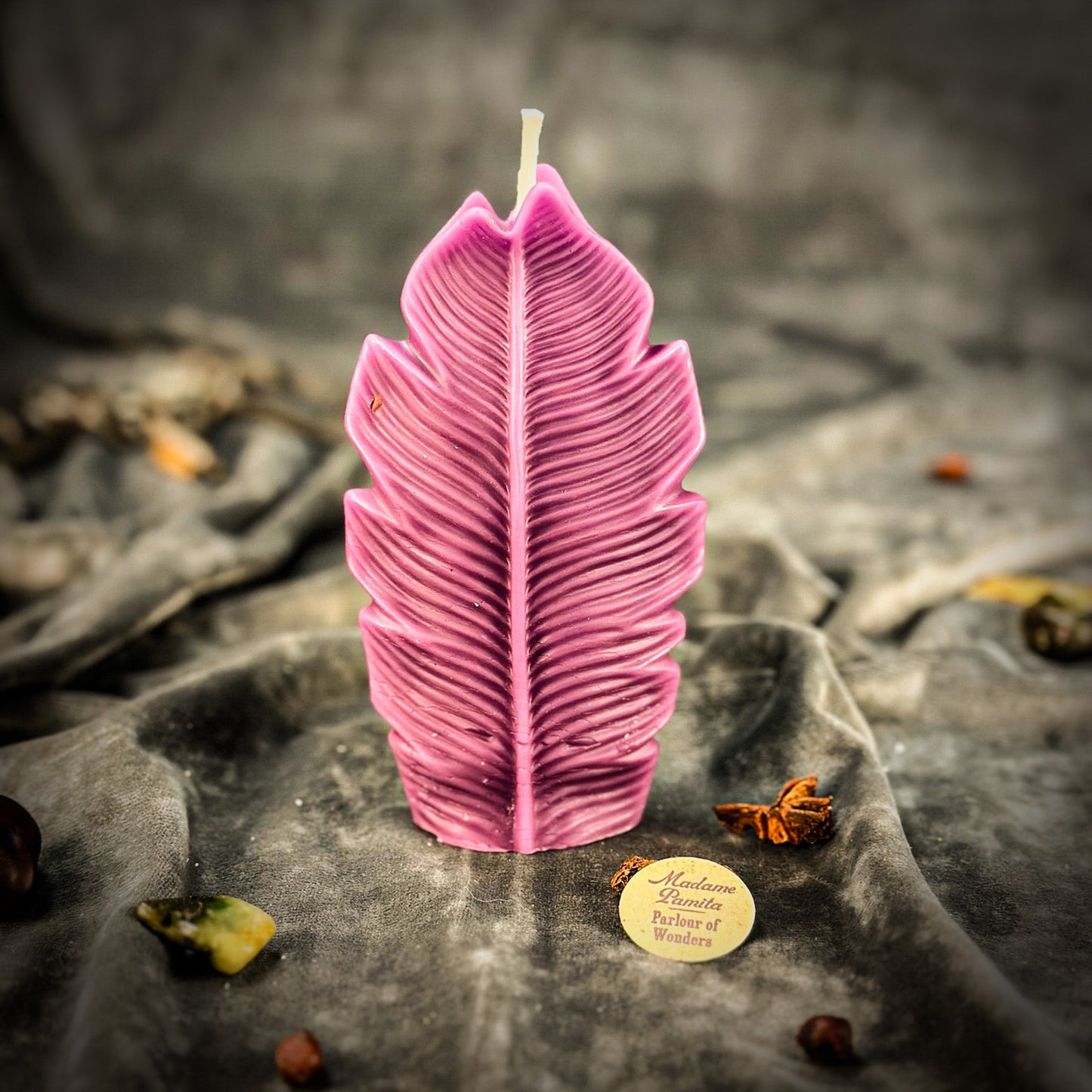 Plant Spirit Candle Spell Kit - Garden Blessing & Nature Magic