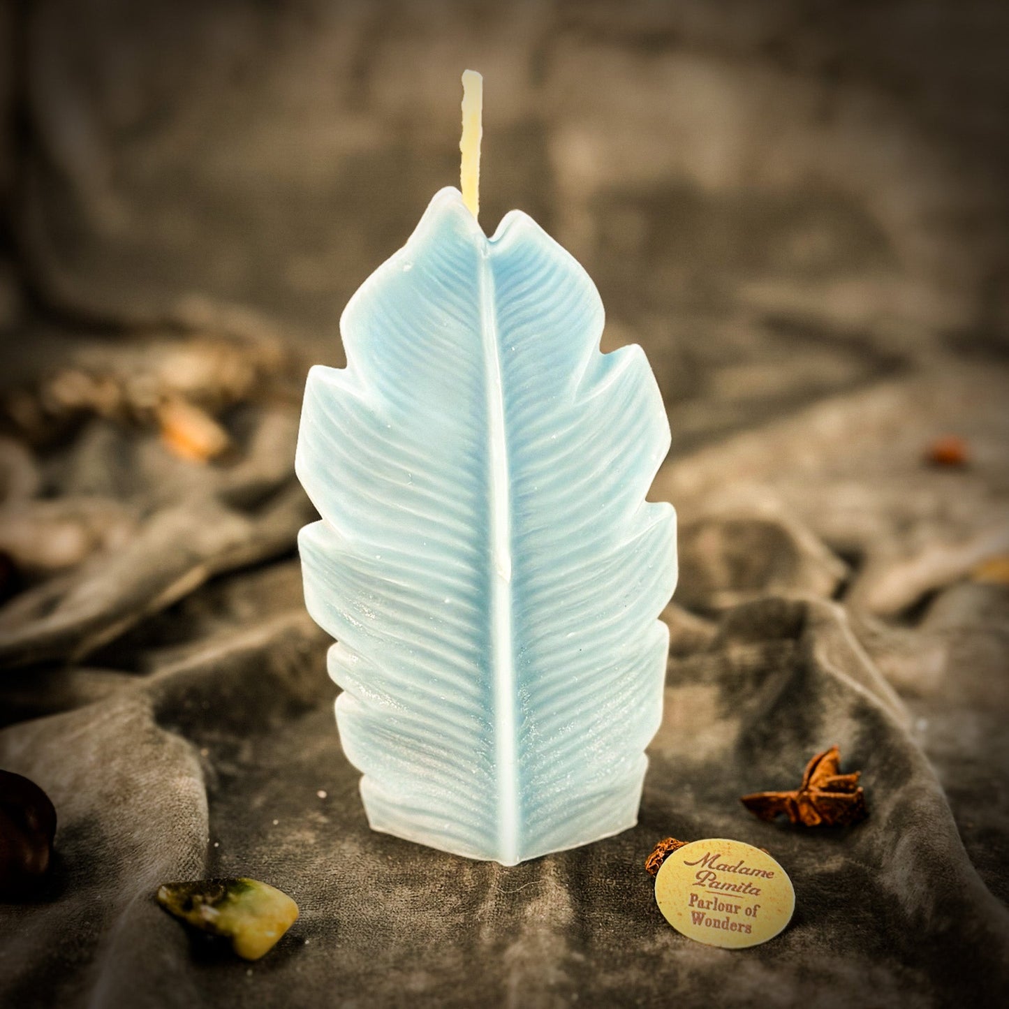 Plant Spirit Candle Spell Kit - Garden Blessing & Nature Magic