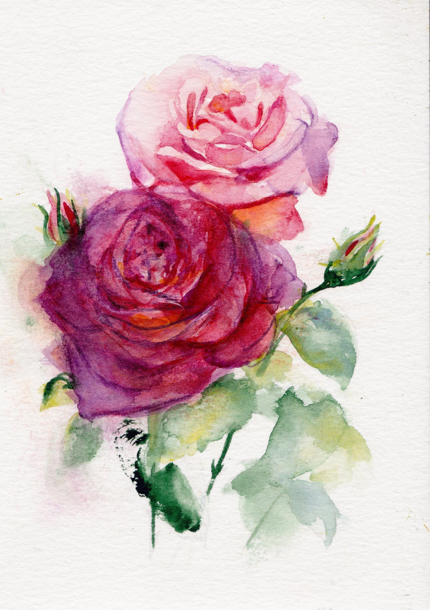 Rose – June Birth Flower Art Print