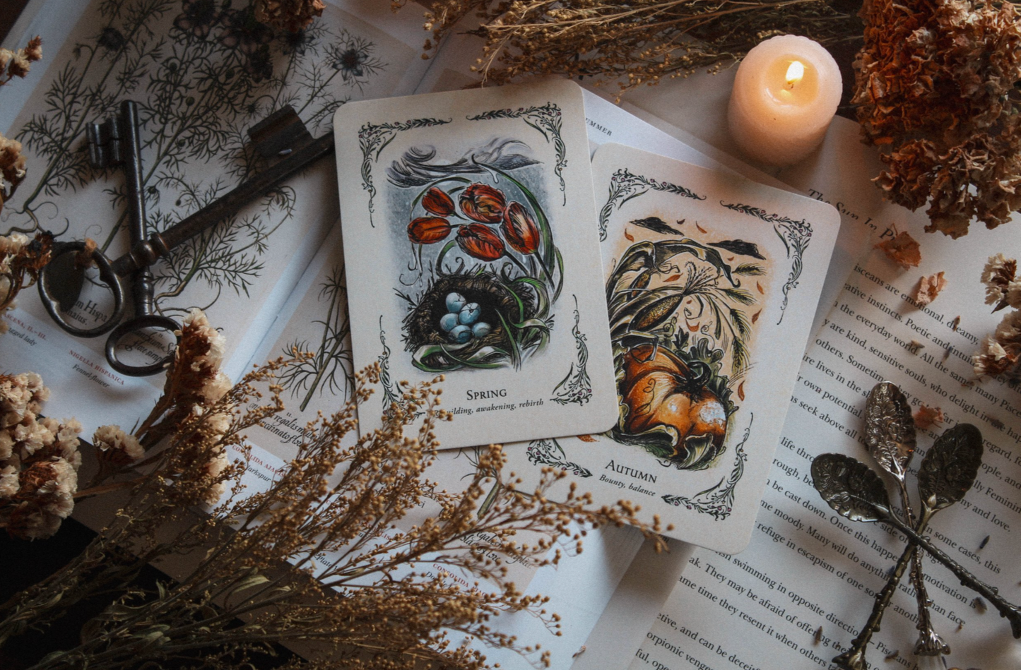 The Green Witch's Oracle Deck