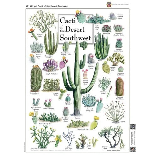 Cacti of the Desert Southwest 1000 Piece Jigsaw Puzzle | Masterpieces