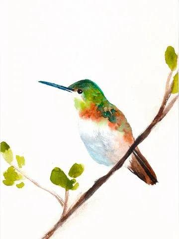 Hummingbird Art Print – Archival Nature Wall Art