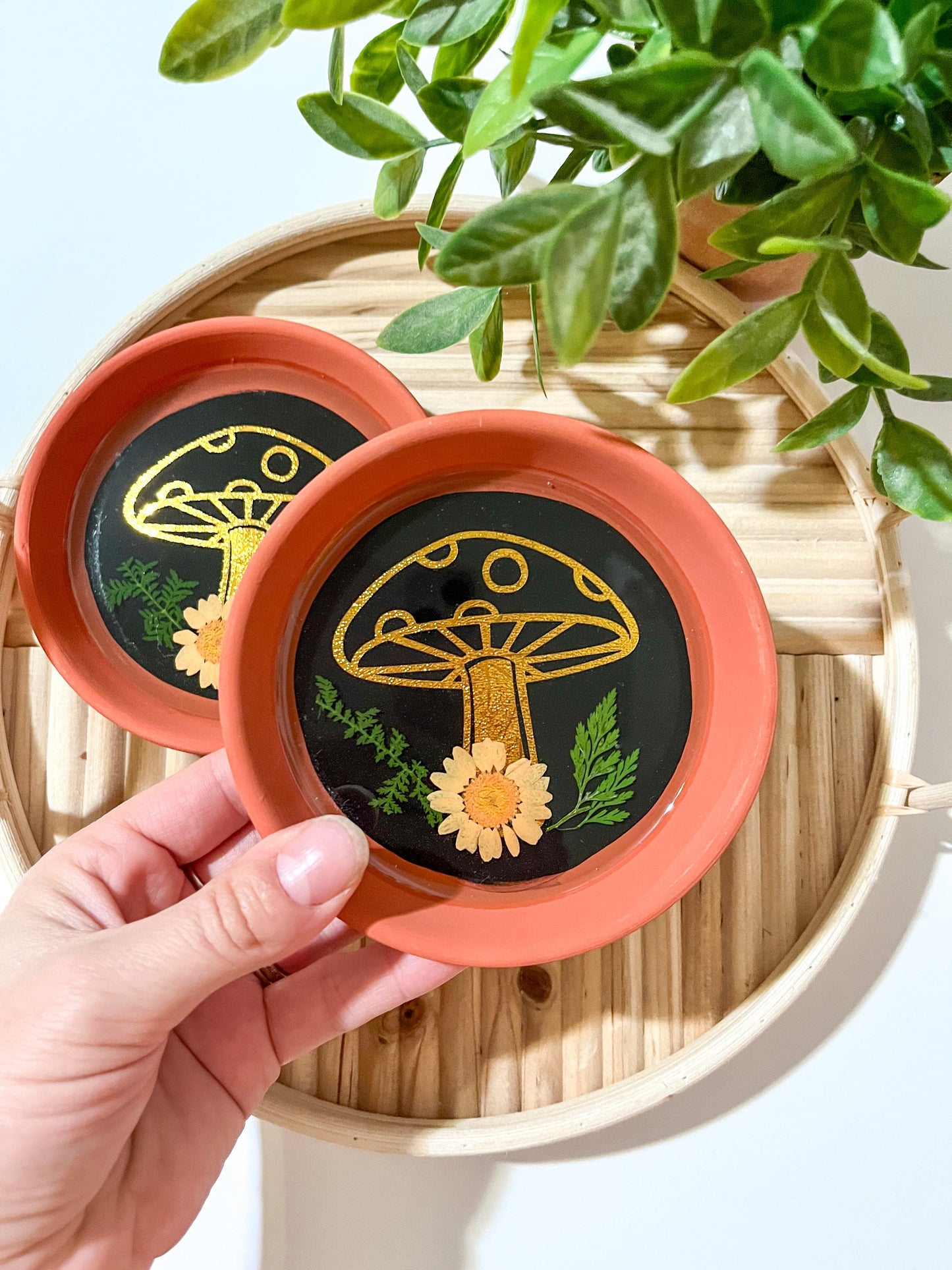 Flora mushroom tray