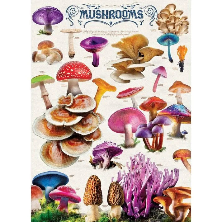 Mushrooms 1000 Piece Jigsaw Puzzle | Masterpieces