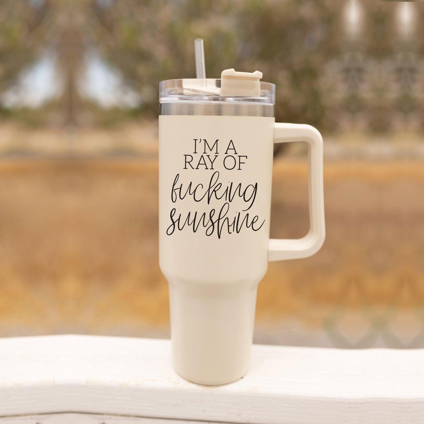 Ray Of Sunshine 40oz Insulated Tumbler With Handle Lid Straw Travel Mug